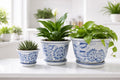 Kit 3 Cachepots Cerâmica Azul & Branco Clássico Imperial