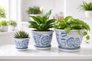 Kit 3 Cachepots Cerâmica Azul & Branco Clássico Imperial