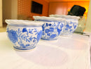 Cachepots de cerâmica azul e branco decorativos