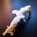 Escultura Decorativa Quarteto de Pássaros em Resina Branco com Estrutura Dourada 33x17