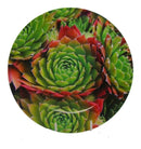 Sousplat Plástico Design Flowers – Verde Florido 33x33cm