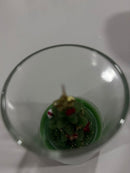 Vela Verde Árvore De Natal Com Copo Presente Natalino Verde