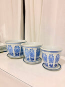 Três cachepots de cerâmica azul e branco com pires em ambiente decorado